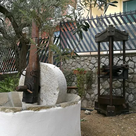 Country house Oleum